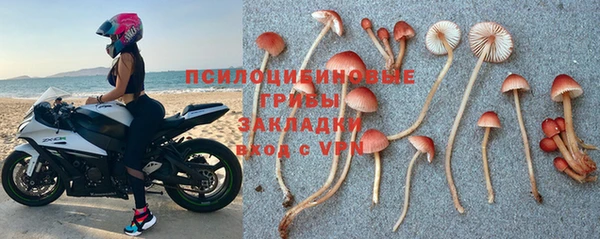 спиды Абдулино